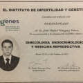 Ampliar imagen: certificate 6