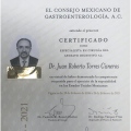 Ampliar imagen: certificate 2