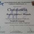 Ampliar imagen: certificate 2