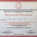 Ampliar imagen: certificate 13