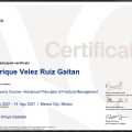 Ampliar imagen: certificate 7