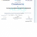 Ampliar imagen: certificate 17