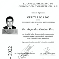 Ampliar imagen: certificate 2