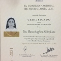 Ampliar imagen: certificate 1