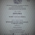 Ampliar imagen: certificate 7