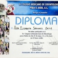 Ampliar imagen: certificate 4