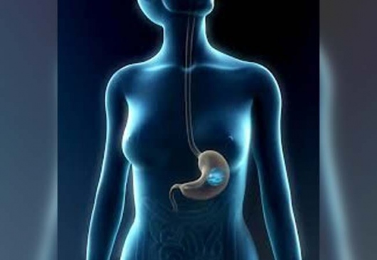 Antonio Navarro Manjarréz-1