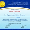 Ampliar imagen: certificate 12