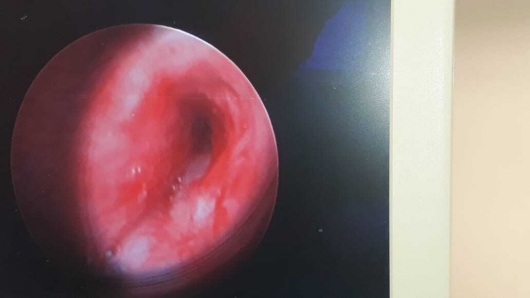 Carlos Alejandro De Alba De Lira-0