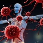 Dr. José Luis Rivera Pérez