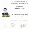 Ampliar imagen: certificate 2