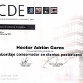 Ampliar imagen: certificate 19