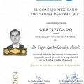 Ampliar imagen: certificate 3