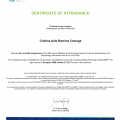 Ampliar imagen: certificate 6