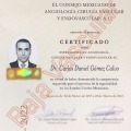Ampliar imagen: certificate 2