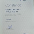 Ampliar imagen: certificate 57