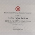 Ampliar imagen: certificate 24