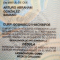 Ampliar imagen: certificate 5