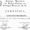 Ampliar imagen: certificate 7
