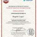 Ampliar imagen: certificate 3