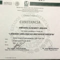 Ampliar imagen: certificate 12