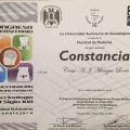 Ampliar imagen: certificate 23