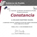 Ampliar imagen: certificate 23