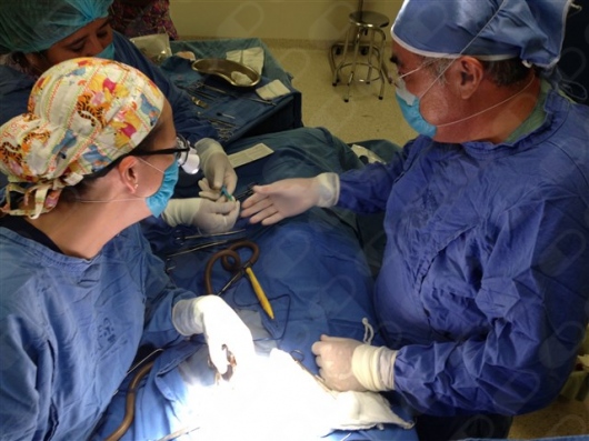 Karina Meza Ocaña-4