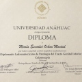 Ampliar imagen: certificate 3