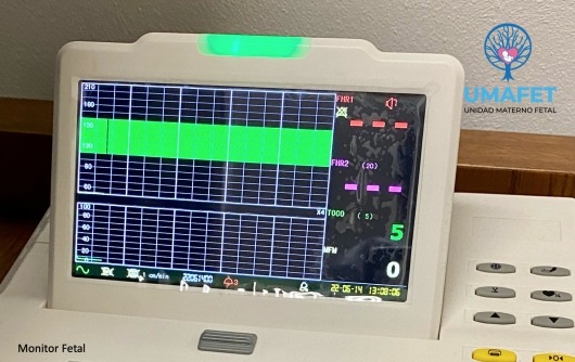 Alejandro Gaspar Vera-6