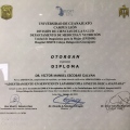 Ampliar imagen: certificate 4