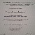 Ampliar imagen: certificate 10