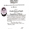 Ampliar imagen: certificate 4