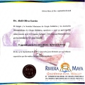Ampliar imagen: certificate 6