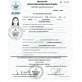 Ampliar imagen: certificate 2