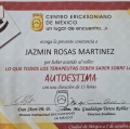 Ampliar imagen: certificate 12