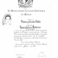 Ampliar imagen: certificate 5
