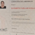 Ampliar imagen: certificate 7