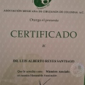 Ampliar imagen: certificate 4