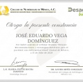 Ampliar imagen: certificate 1