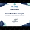 Ampliar imagen: certificate 13