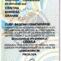 Ampliar imagen: certificate 4