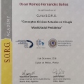Ampliar imagen: certificate 3