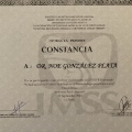 Ampliar imagen: certificate 29