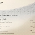 Ampliar imagen: certificate 6