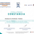 Ampliar imagen: certificate 10
