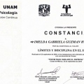 Ampliar imagen: certificate 9
