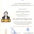 Ampliar imagen: certificate 1