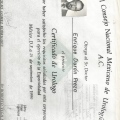 Ampliar imagen: certificate 3