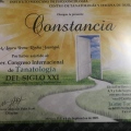 Ampliar imagen: certificate 9